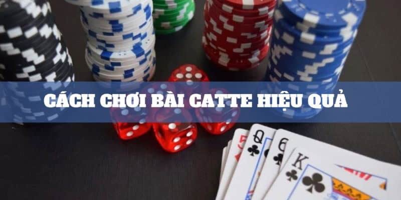 Cách chơi bài Catte không quá phức tạp đối với một tay mơ