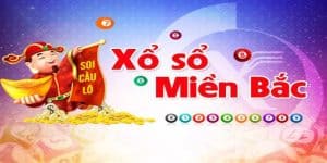 Tính năng tra cứu kết quả tại xổ số a trúng rồi